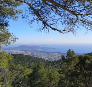 Le sommet du Mont Faron depuis Toulon à VTT - Toulon - 3