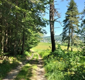 Tour des plateaux depuis Chambon-sur-Lignon - Le Chambon-sur-Lignon - 5