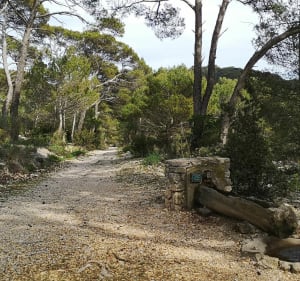 Le sommet du Mont Faron depuis Toulon à VTT - Toulon - 4