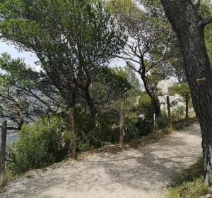 Le sommet du Mont Faron depuis Toulon à VTT - Toulon - 5