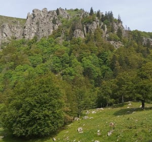 Col de Schlucht et sommet du Hohneck par le sentier des roches - Le Valtin - 5