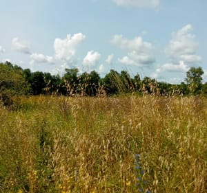 Boucles des étangs à Rioux-Martin - Rioux-Martin - 4