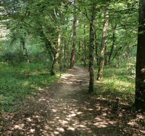 Par la réserve naturelle à Saint Etienne - Roche-la-Molière - 3