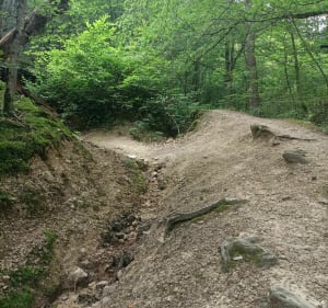 Par la réserve naturelle à Saint Etienne - Roche-la-Molière - 4