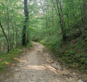 Par la réserve naturelle à Saint Etienne - Roche-la-Molière - 5