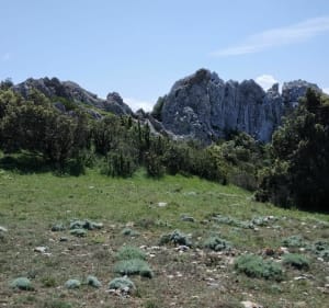 Grau du Maury, par le Col de Laprès dans les environs de Cucugnan - Cucugnan - 3