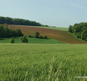 Boucle entre Plessier-Rozainvillers et la vallée de l'Avre - Le Plessier-Rozainvillers - 5