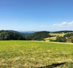 Autour de Lalouvesc par Polly et Le Réal - Lalouvesc - 4