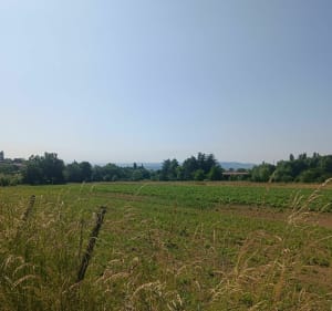 Balade autour de Saint Lo' - Saint-Laurent-d'Agny - 3