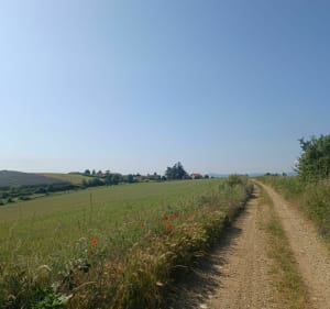 Balade autour de Saint Lo' - Saint-Laurent-d'Agny - 5