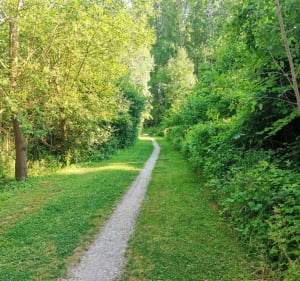 Dans les coins de Romilly sur Seine - Romilly-sur-Seine - 4