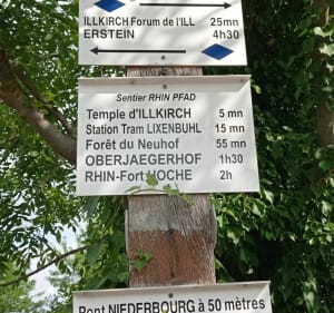 Circuit autour de Illkirch-Graffenstaden - Illkirch-Graffenstaden - 3