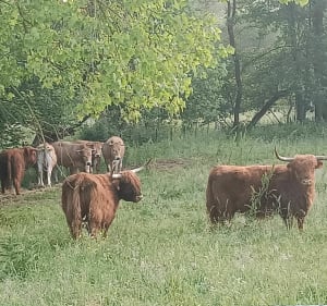 Entre Étangs et campagne à EU - Eu - 4