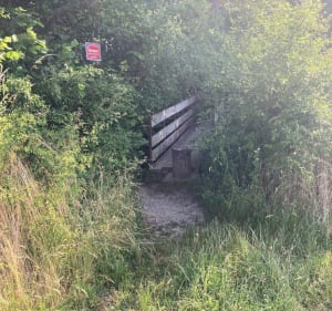 Le Marais de  Sans Fond - Fénay - 4