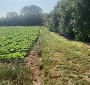 Le Marais de  Sans Fond - Fénay - 5