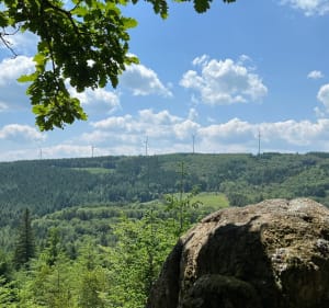 Forêt de Bécajat - Saint-Bonnet-des-Quarts - 5