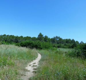 Domaine de Restinclières par La Fenasse - Prades-le-Lez - 5