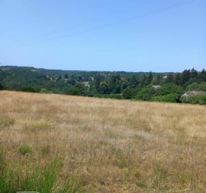 Belle balade à partir du barrage des Bariousses - Treignac - 4