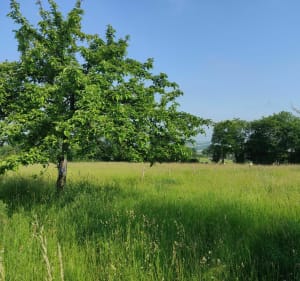 Boucle de Fourneaux à Condé sous Noireaux - Condé-en-Normandie - 3