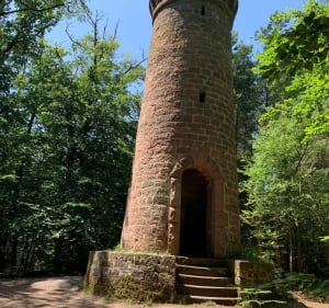 Le château de Wasenbourg depuis Niederbronn - Niederbronn-les-Bains - 3