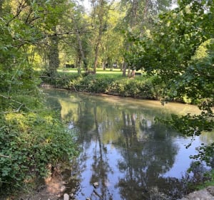 Un ptit coin de paradis à Guérard La Celle sur Morin - Guérard - 5