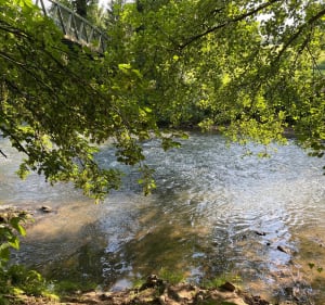 Un ptit coin de paradis à Guérard La Celle sur Morin - Guérard - 4