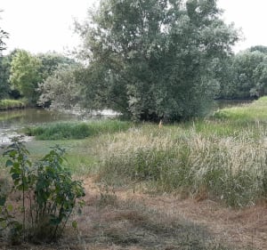 Parc de Sceaux via coulée verte - Villemoisson-sur-Orge - 5