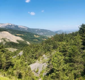 Tour de Seyne par Grand Puy, le Fanget et Chabanon - Seyne - 4