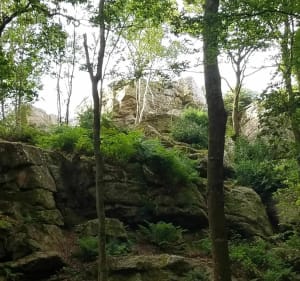 Jolie balade dans le bois des roches de Rocheville depuis Hameau Hibert - Rocheville - 5