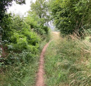 Balade autour de La Vère - Athis-Val-de-Rouvre - 3