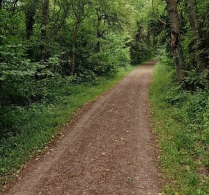 Entre Kleindal et Longeville-lès-Saint-Avold - Longeville-lès-Saint-Avold - 5