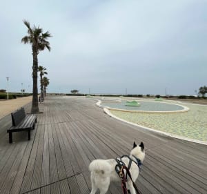 Cap vers le Ponton de Leucate - Le Barcarès - 5