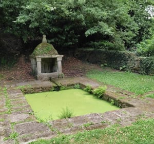 Questembert et boucle du bois Saint-Martin - Questembert - 3