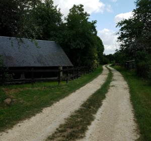 Balade autour de Heugnes - Heugnes - 3