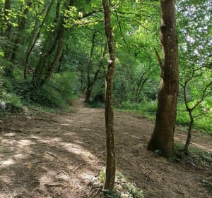 Par la réserve naturelle à Roche la Molière - Roche-la-Molière - 3