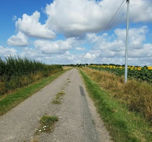 Balade autour de Heugnes - Heugnes - 4