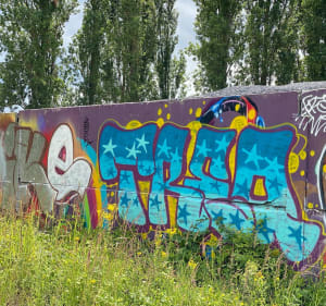 Ponts de Boran et Précy par Bois des Bouleaux et la Nonette - Gouvieux - 5