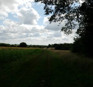 Balade autour de Heugnes - Heugnes - 5
