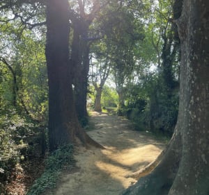 À vélo ou à pied par Le Canal de Perpignan - Pollestres - 3