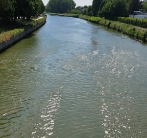 Balade à Douai - Douai - 5