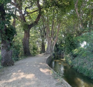 À vélo ou à pied par Le Canal de Perpignan - Pollestres - 4