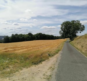 Balade sur les hauts de Bucy - Crouy - 3