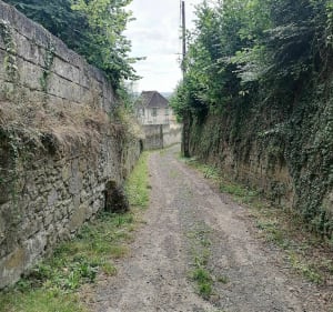 Balade sur les hauts de Bucy - Crouy - 5