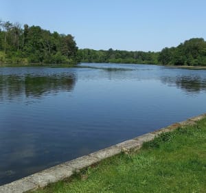 En passant par le château de la Reine Blanche - Chantilly - 3