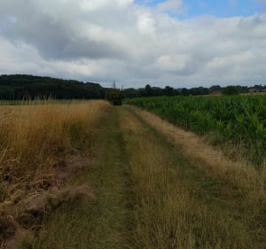 St-Jean-de-Thurigneux et Toussieux, au départ de Neuville - NICOLAS - 3