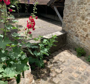 D'Arpajon à Bonnelles en aller-retour - Arpajon - 3