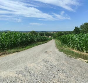 Balade au hasard entre ville et campagne à Mulhouse - Mulhouse - 3