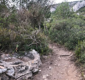 Belle boucle entre le col de Sormiou et la colline de Lun - Marseille - 4