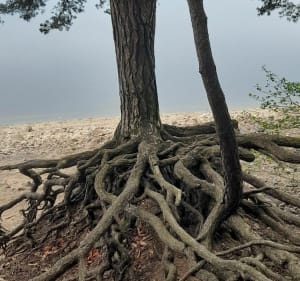 Tour du lac d'Issarlès - Criss - 3