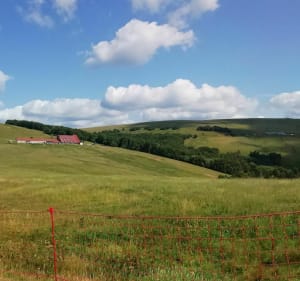 Lac de la Lande depuis La Vologne - La Bresse - 4